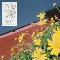 Laundromat Chicks - Sometimes Possessed in the group VINYL / Pop-Rock at Bengans Skivbutik AB (5576774)