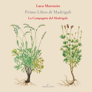 Luca Marenzio - First Book Of Madrigals (1580) in the group CD / Klassiskt at Bengans Skivbutik AB (5577002)