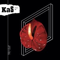 Kas Product - Try Out in the group VINYL / Pop-Rock at Bengans Skivbutik AB (5577026)