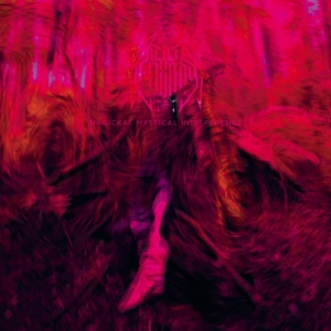 Rebel Wizard - Magickal Mystical Indifference in the group OTHER / Övrigt /  at Bengans Skivbutik AB (5577168)