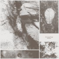 Park Jiha - All Living Things in the group CD / Pop-Rock at Bengans Skivbutik AB (5577633)