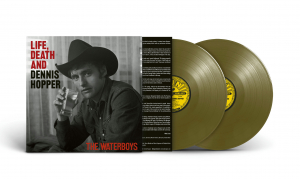 The Waterboys - Life, Death & Dennis Hopper (Burnt Colored 2Lp) in the group VINYL / Pop-Rock at Bengans Skivbutik AB (5578184)