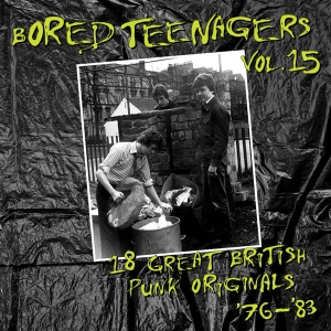 Various Artist - Bored Teenagers, Vol. 15 in the group VINYL / Punk at Bengans Skivbutik AB (5578325)