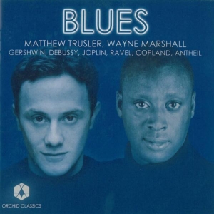 Matthewl Trusler - Blues in the group Externt_Lager /  at Bengans Skivbutik AB (557896)