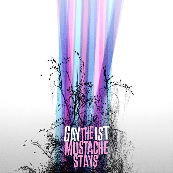 Gaytheist - The Mustache Stays in the group CD / Pop-Rock at Bengans Skivbutik AB (5579111)