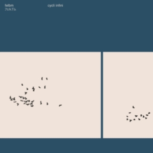 Felbm - Cycli Infini in the group OTHER / Övrigt / at Bengans Skivbutik AB (5579826)