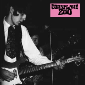 Cornflake Zoo - Knights Of Fuzz in the group VINYL / Pop-Rock at Bengans Skivbutik AB (5579995)