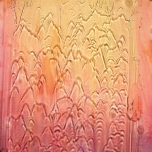 Mount Liberation Unlimited - Welcome To The Jungle in the group OTHER / Övrigt /  at Bengans Skivbutik AB (5580148)