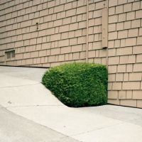 Ezra Feinberg - Soft Power in the group VINYL / Pop-Rock at Bengans Skivbutik AB (5580808)