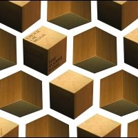 Young Gods The - Knock On Wood (The Acoustic Session in the group VINYL / Pop-Rock at Bengans Skivbutik AB (5580862)