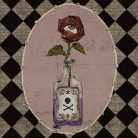 Luvcat - Matador / He's My Man in the group VINYL / Pop-Rock at Bengans Skivbutik AB (5583209)