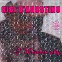 Gigi D'agostino - I Wonder Why in the group VINYL / Pop-Rock at Bengans Skivbutik AB (5584134)