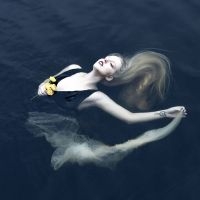 Sylvaine - Silent Chamber, Noisy Heart in the group CD / Hårdrock at Bengans Skivbutik AB (5584547)