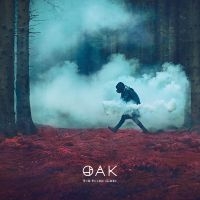Oak - The Third Sleep in the group CD / Norsk Musik,Pop-Rock at Bengans Skivbutik AB (5584552)