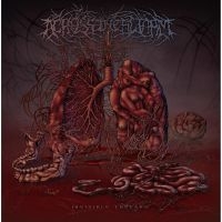 Across The Swarm - Invisible Threads in the group CD / Hårdrock at Bengans Skivbutik AB (5584941)