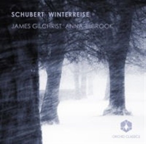 Schubert - Winterreise in the group Externt_Lager /  at Bengans Skivbutik AB (558617)