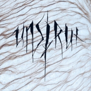 Unstrut - Unstrut in the group CD / Hårdrock at Bengans Skivbutik AB (5587440)