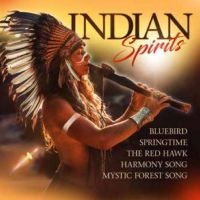 Various Artists - Indian Spirits in the group CD / Pop-Rock at Bengans Skivbutik AB (5588004)