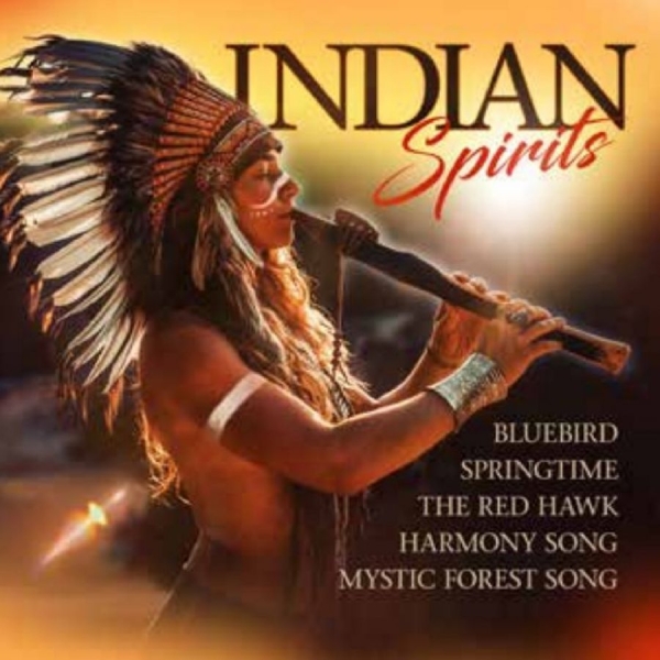 Various Artists - Indian Spirits in the group CD / Bestsellers at Bengans Skivbutik AB (5588004)