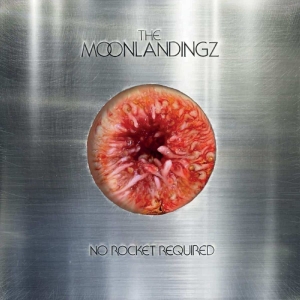 The Moonlandingz - No Rocket Required in the group CD / Pop-Rock at Bengans Skivbutik AB (5588292)