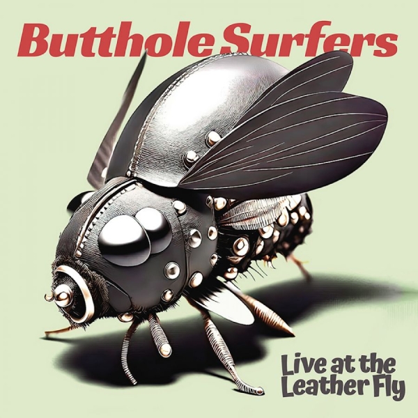 Butthole Surfers - Live At The Leather Fly in the group CD / Pop-Rock at Bengans Skivbutik AB (5588890)