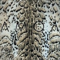 Amoa - I'll Be Kind in the group VINYL / Pop-Rock at Bengans Skivbutik AB (5589105)