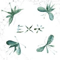 Exo - Exo in the group VINYL / Pop-Rock at Bengans Skivbutik AB (5589714)