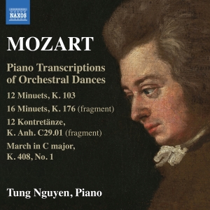 Mozart W A - Piano Transcriptions Of Orchestral in the group CD / New releases at Bengans Skivbutik AB (5589858)