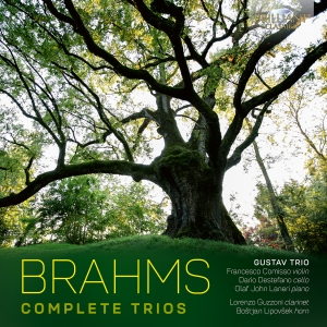 Johannes Brahms - Complete Trios in the group CD / New releases at Bengans Skivbutik AB (5589862)
