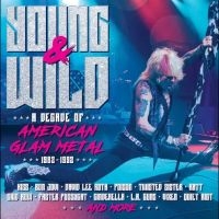 Various Artists - Young And Wild - A Decade Of Americ in the group CD / Pop-Rock at Bengans Skivbutik AB (5590131)