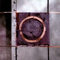 Nine - Native Anger in the group CD / Pop-Rock at Bengans Skivbutik AB (5590574)