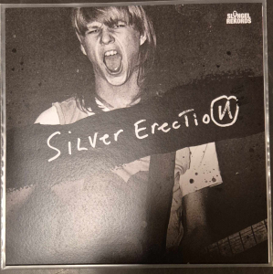 Silver Erection - Politics in the group VINYL / Punk at Bengans Skivbutik AB (5590609)