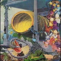 Memotone - Pruning in the group VINYL / Pop-Rock at Bengans Skivbutik AB (5590728)