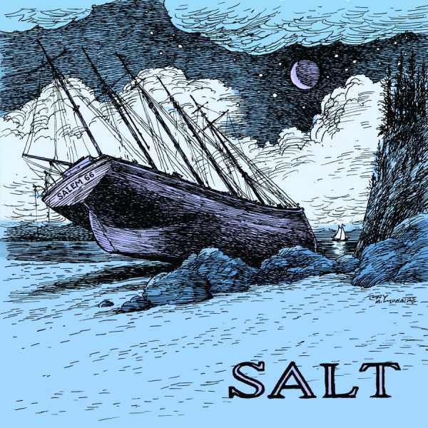 Salem 66 - Salt in the group CD / Pop-Rock at Bengans Skivbutik AB (5591021)