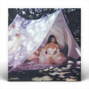 Julia Mestre - Maravilhosamente Bem in the group OUR PICKS / Bengans Staff Picks / Best so far in 2025 - MK at Bengans Skivbutik AB (5591101)