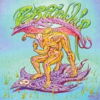 Brainchip - Brainchip in the group VINYL / Pop-Rock at Bengans Skivbutik AB (5591249)
