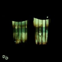 Divide And Dissolve - Insatiable (Green Vinyl) in the group VINYL / Hårdrock at Bengans Skivbutik AB (5591381)