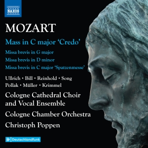 Mozart W A - Complete Masses, Vol. 6 in the group CD / New releases at Bengans Skivbutik AB (5591736)