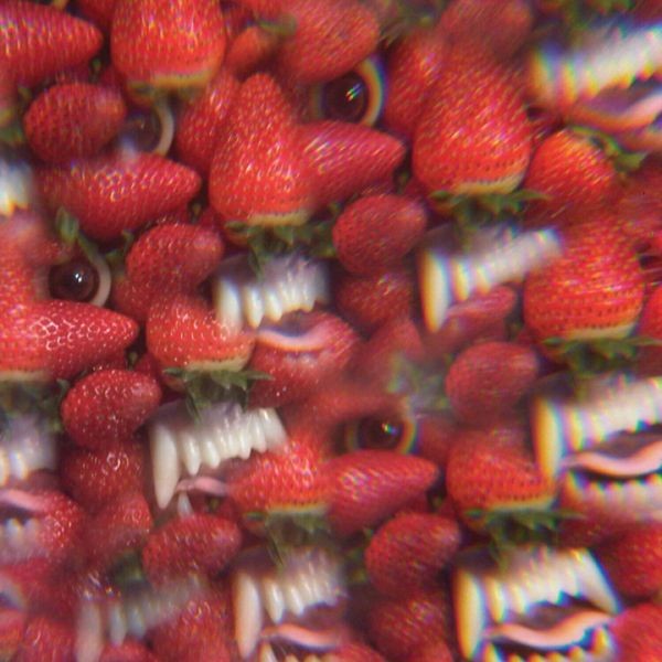 Thee Oh Sees - Floating Coffin (Reissue) in the group VINYL / Pop-Rock at Bengans Skivbutik AB (5592124)