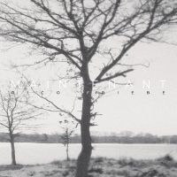 Rico Friebe - Maintenant in the group CD / Pop-Rock at Bengans Skivbutik AB (5593322)