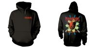 Corrosion Of Conformity - Hood - Wiseblood (S) in the group MERCHANDISE / Hoodies / Hårdrock at Bengans Skivbutik AB (5593853)