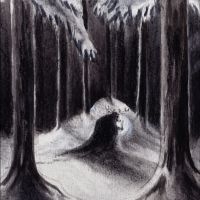 Havukruunu - Havulinnaan in the group OUR PICKS / Friday Releases / 2025-07-04 at Bengans Skivbutik AB (5593904)