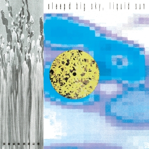 Sleep D - Big Sky, Liquid Sun in the group VINYL / Norsk Musik at Bengans Skivbutik AB (5594530)