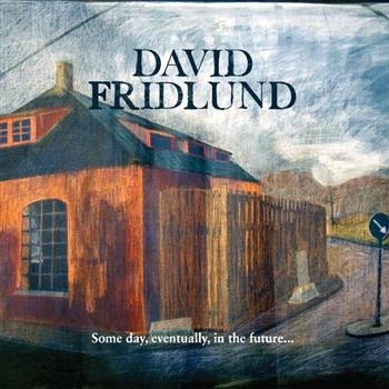 Fridlund David - Some Day, Eventually, In The Future in the group CD / Pop at Bengans Skivbutik AB (560564)