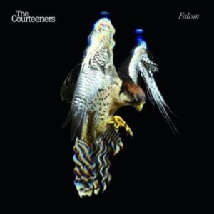 Courteeners - Falcon in the group CD / Pop at Bengans Skivbutik AB (562033)