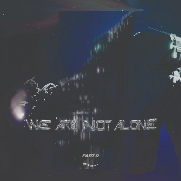 Various Artists - We Are Not Alone - Part 9 in the group VINYL / Bestsellers at Bengans Skivbutik AB (5626808)