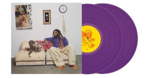 Aminé - 13 Months Of Sunshine (Purple Vinyl Edition) in the group VINYL / Hip Hop-Rap at Bengans Skivbutik AB (5626920)