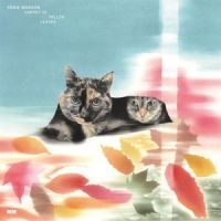 Eddie Marcon - Carpet Of Fallen Leaves in the group CD / Pop-Rock at Bengans Skivbutik AB (5627210)