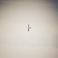 Naqvi Qasim - Endling (Translucent Vinyl) in the group VINYL / Pop-Rock at Bengans Skivbutik AB (5627211)