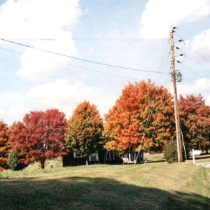 Vegas Water Taxi - Things Are Gonna Be Alright Extende in the group VINYL / Pop-Rock,Svensk Musik at Bengans Skivbutik AB (5627381)